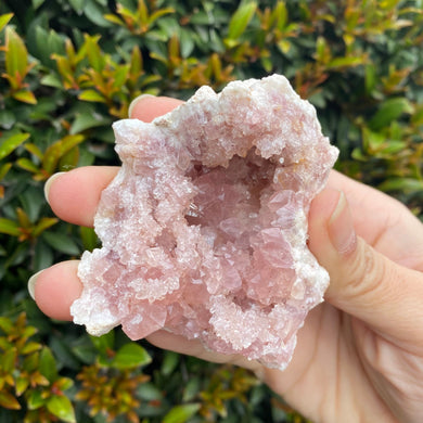 Pink Amethyst Geode to Align with your Highest Aspirations, Multiple Sizes!