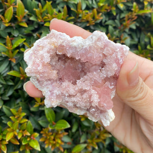 Pink Amethyst Geode to Align with your Highest Aspirations, Multiple Sizes!