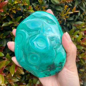 Large Blue Chrysocolla with Green Malachite Freeform Polished Stone