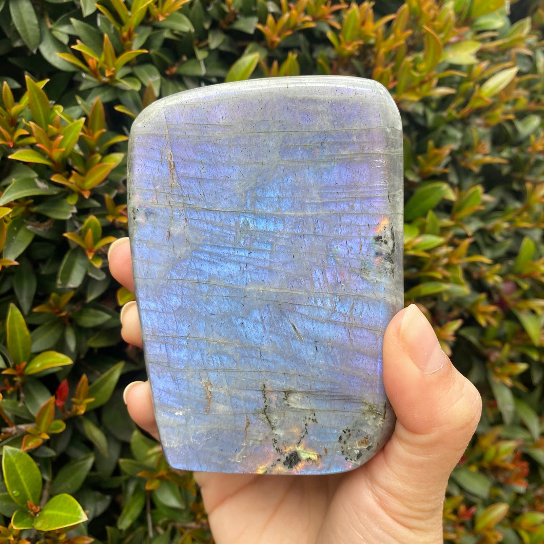 Polished Purple Rainbow Labradorite Stone Freeform for Intuition and Trust in the Universe