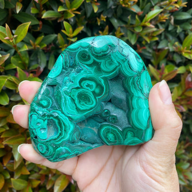 Natural Malachite Crystal Semi Polished Freeform for Transformation