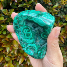 Load image into Gallery viewer, Natural Malachite Crystal Semi Polished Freeform for Transformation