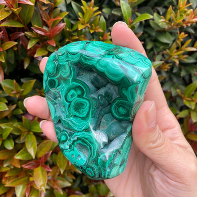 Natural Malachite Crystal Semi Polished Freeform for Transformation