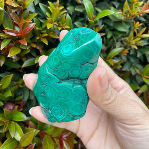 Blue Chrysocolla with Green Malachite Freeform Semi Polished Stone