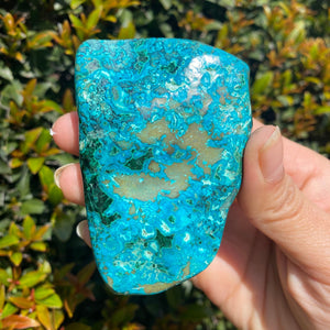 Natural Blue Chrysocolla Stone with Green Malachite