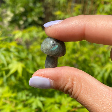 Mini Mushroom Crystal Carving