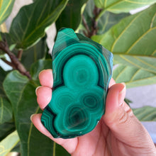 Load image into Gallery viewer, Polished Malachite Crystal Slabs, for Transformation