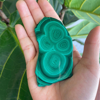 Polished Malachite Crystal Slabs, for Transformation