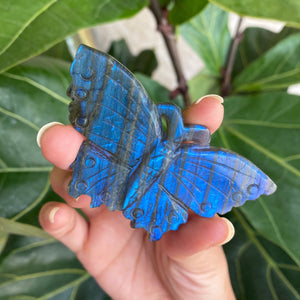 Blue Flash Labradorite Butterfly Carving