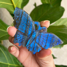 Load image into Gallery viewer, Blue Flash Labradorite Butterfly Carving