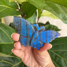 Load image into Gallery viewer, Blue Flash Labradorite Butterfly Carving