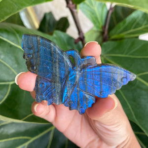 Blue Flash Labradorite Butterfly Carving