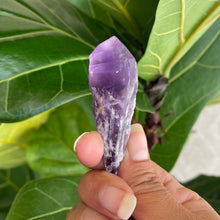 Load image into Gallery viewer, Natural Purple Amethyst Dragons Tooth Points