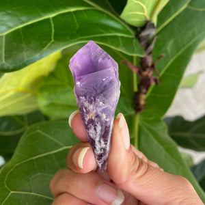 Natural Purple Amethyst Dragons Tooth Points