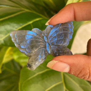 🦋Beautiful Natural Blue Labradorite Butterfly Crystal Carving