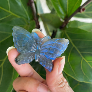 🦋Beautiful Natural Blue Labradorite Butterfly Crystal Carving