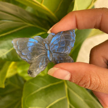 Load image into Gallery viewer, 🦋Beautiful Natural Blue Labradorite Butterfly Crystal Carving