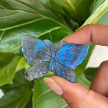 Load image into Gallery viewer, 🦋Beautiful Natural Blue Labradorite Butterfly Crystal Carving