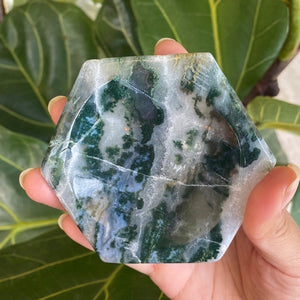 Moss Agate Crystal Dish