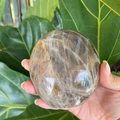 Polished Peach Black Moonstone Crystal Freeform from Madagascar