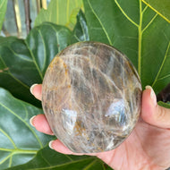 Polished Peach Black Moonstone Crystal Freeform from Madagascar