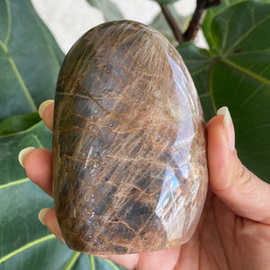 Polished Peach Black Moonstone Crystal Freeform from Madagascar