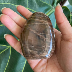 Polished Peach Black Moonstone Crystal Freeform from Madagascar