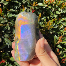 Load image into Gallery viewer, Rainbow Butterfly Wing Labradorite Freeform for Intuition and Trust in the Universe