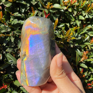 Rainbow Butterfly Wing Labradorite Freeform for Intuition and Trust in the Universe