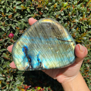 Polished Blue and Yellow Labradorite Freeform, for Faith in One's Self & the Universe