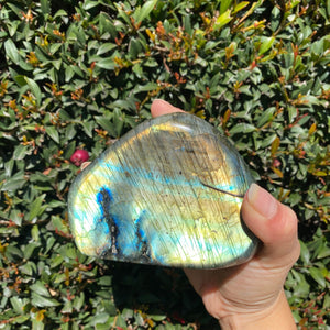 Polished Blue and Yellow Labradorite Freeform, for Faith in One's Self & the Universe