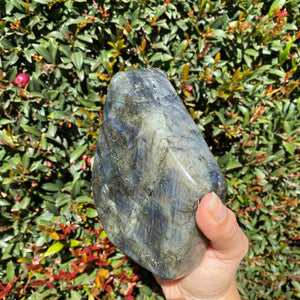 Polished Blue Labradorite Freeform, for Faith in One's Self & the Universe