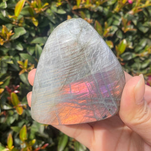 Rainbow Labradorite Freeform for Intuition and Trust in the Universe