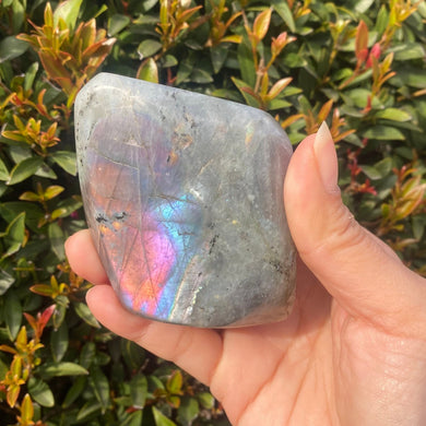 Rainbow Labradorite Freeform for Intuition and Trust in the Universe