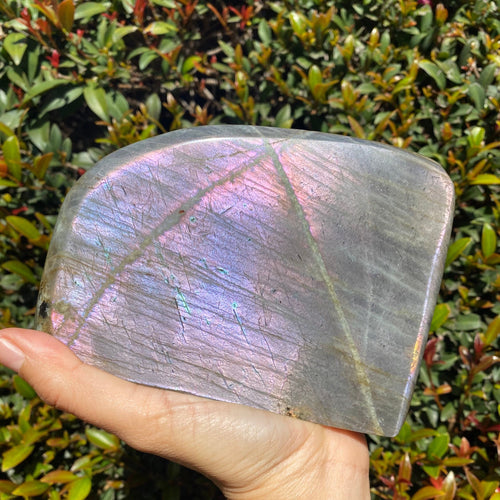 Purple Labradorite Stone Freeform for Intuition and Trust in the Universe