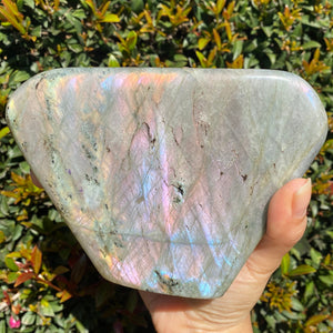 Pastel Rainbow Labradorite Freeform for Intuition and Trust in the Universe