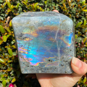 Blue Rainbow Labradorite Freeform for Intuition and Trust in the Universe