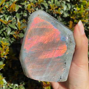 Orange Labradorite Freeform for Intuition and Trust in the Universe