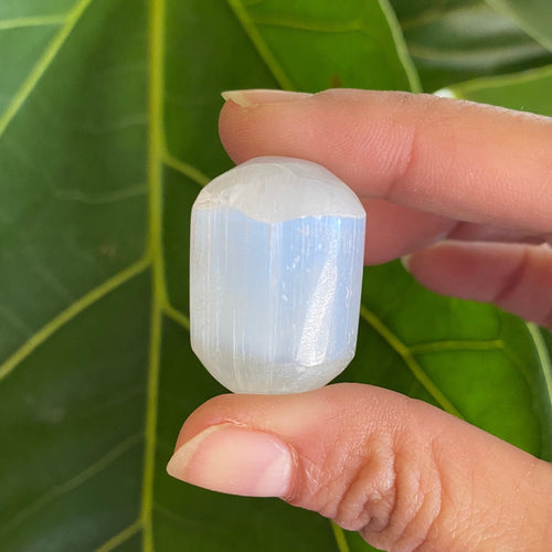 Pearly White Selenite Tumbled Freeform Stones, for Purification & Protection