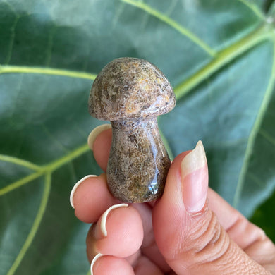 Mushroom Crystal Carving